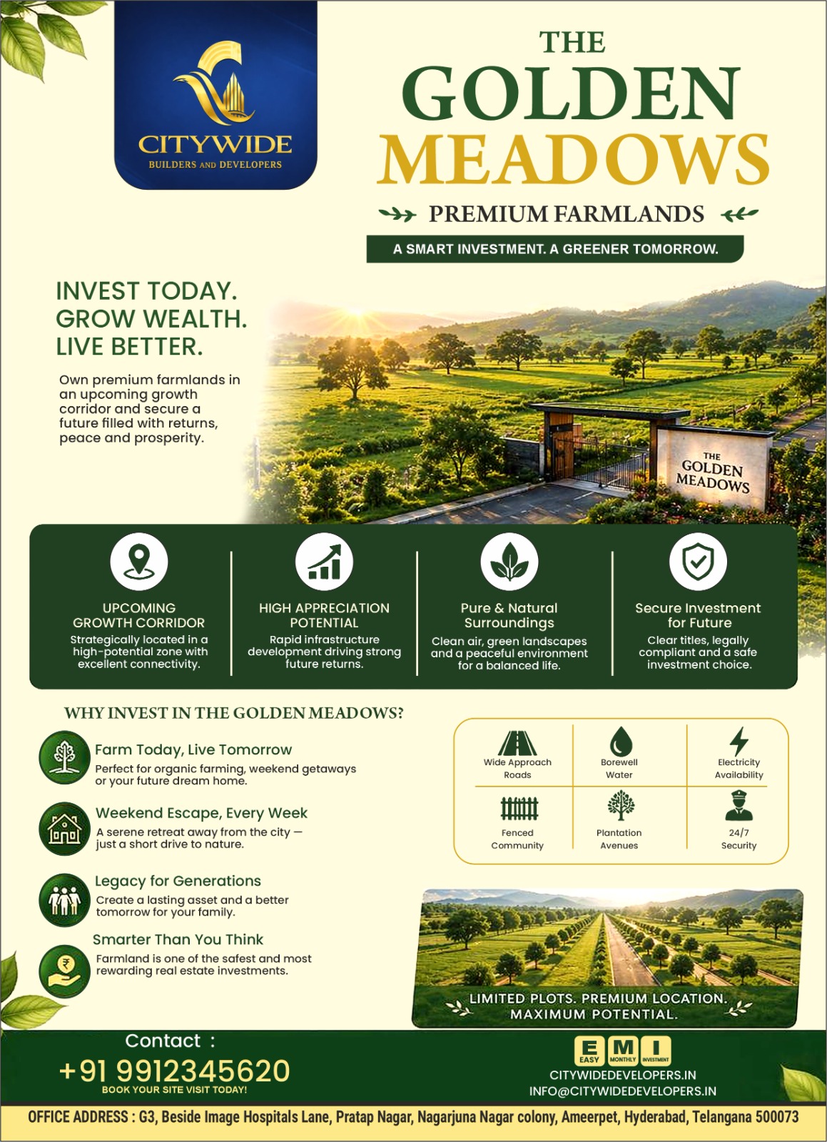 The Golden Meadows