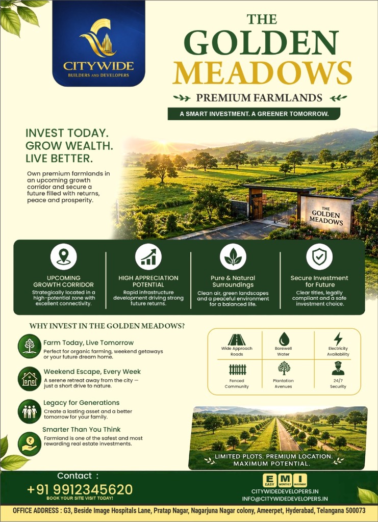 The Golden Meadows Official Brochure Preview